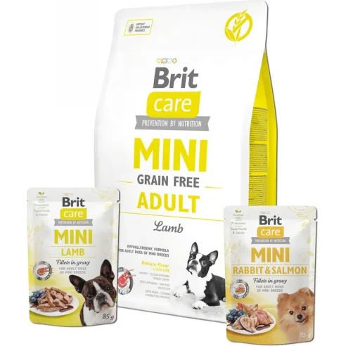 Brit Care Mini GF Adult lamb 2 kg