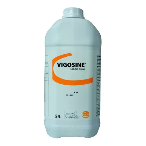 Vigosine sol. 5 l