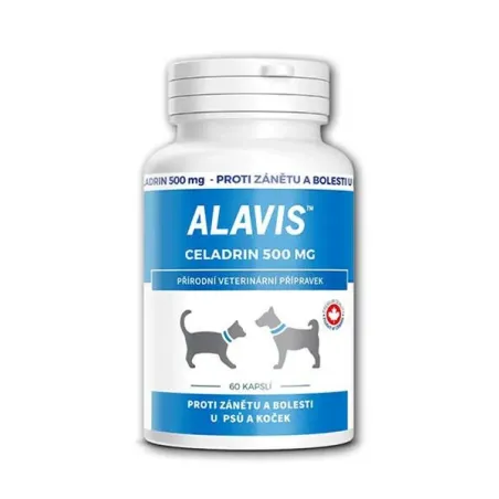 ALAVIS Celadrin 500 mg 60 tbl.