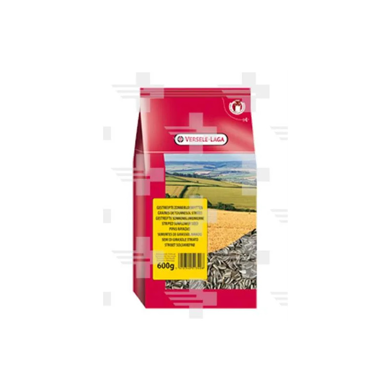 VL Sunflowerseeds Striped- Slnečnica pásikavá 600 g