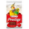 VL Shell Sand Premium Marine- Biely piesok s anízom 5 kg