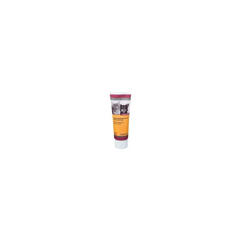 ReConvales Pappelpaste 75 g