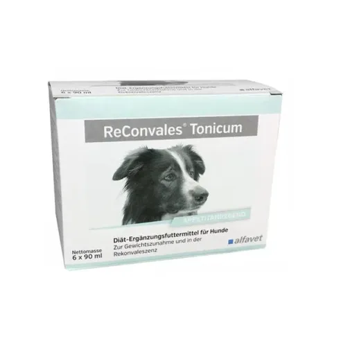 ReConvales Tonicum dog 6 x 90 ml