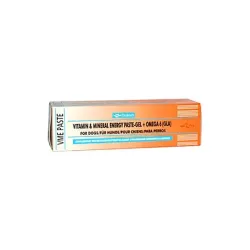 Vitamin & Mineral Energy Pasta pre psy 100 g