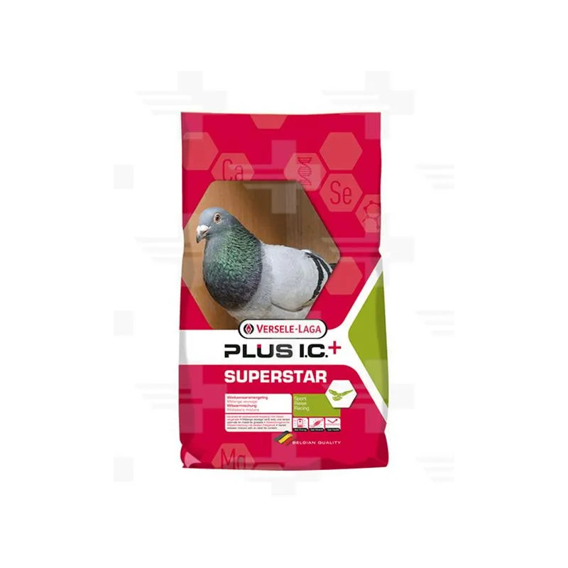 VL Holuby Superstar Plus I.C.+ vdovci 20 kg