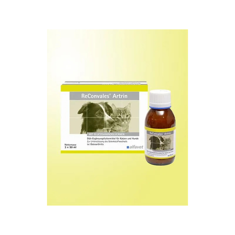 ReConvales Artrin 3 x 90 ml