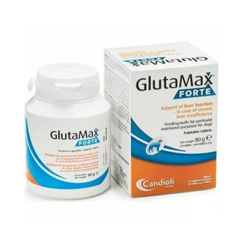 GlutaMax Forte 40 tbl.