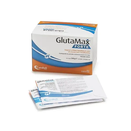 GlutaMax Forte 12 x 10 tbl.