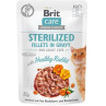 Brit Care cat Kapsička Sterilized Fillets in Gravy with Healthy Rabbit 24 x 85 g