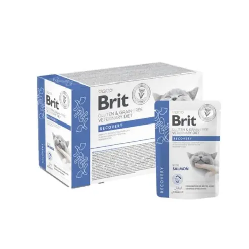 Brit VD Gluten & Grain-Free Cat Pouch Fillets in Gravy Recovery 12 x 85 g