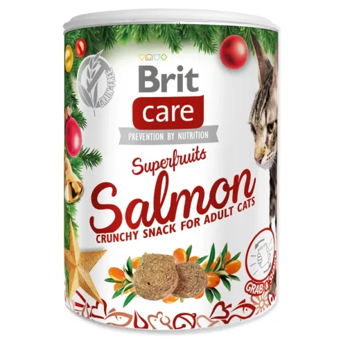 Brit Care Cat Christmas Superfruits, 100 g