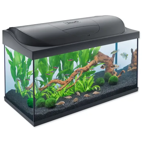 Akvarijný set Tetra Starter line LED 76x47x38cm 105l