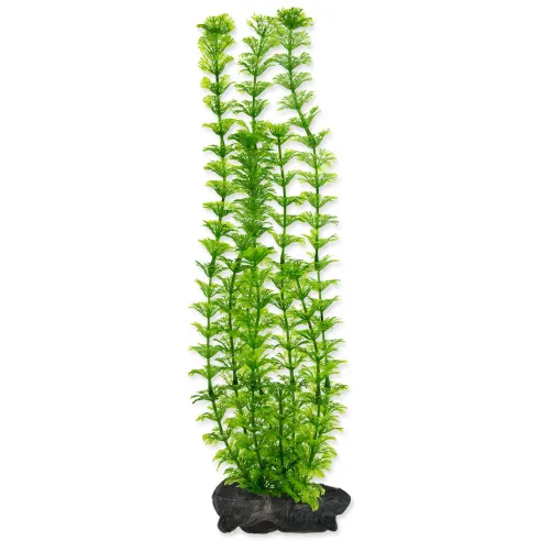 Dekorácia Tetra Rastlina Ambulia L 30cm