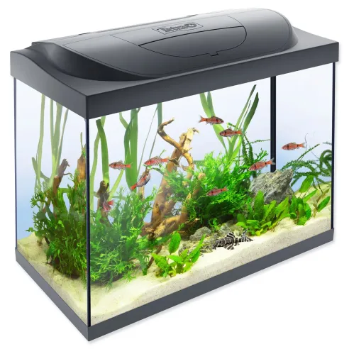 Akvarijný set Tetra Starter Line LED 61x32x51cm 80l