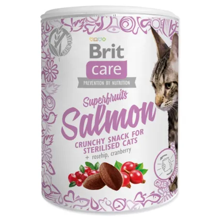 Pochúťka Brit Care Cat Snack Superfruits losos 100g