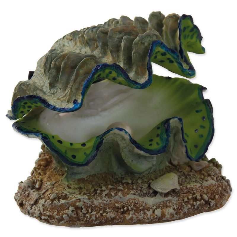 Dekorácia Aqua Excellent Mušľa vzduchovacia 12x10x5,5cm Dekorácia Aqua Excellent Mušľa vzduchovacia 12x10x5,5cm