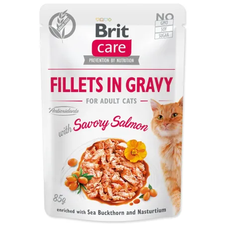 Kapsička Brit Care Cat losos, filety v omáčke 85g