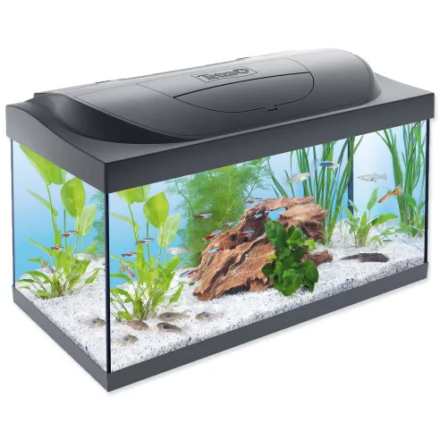 Akvarijný set Tetra Starter Line LED 60x30x30cm 54l