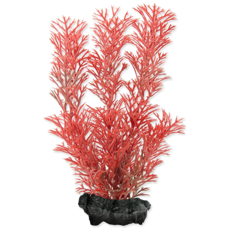 Dekorácia Tetra Rastlina Foxtail Red S 15cm Dekorácia Tetra Rastlina Foxtail Red S 15cm