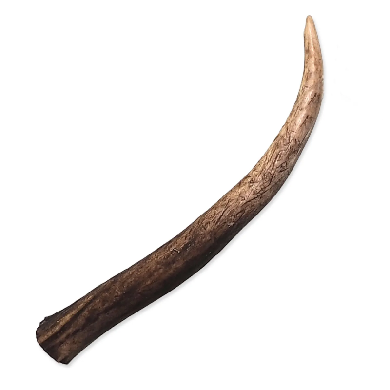 Pochúťka Paroh jeleň S Pochúťka Paroh jeleň S