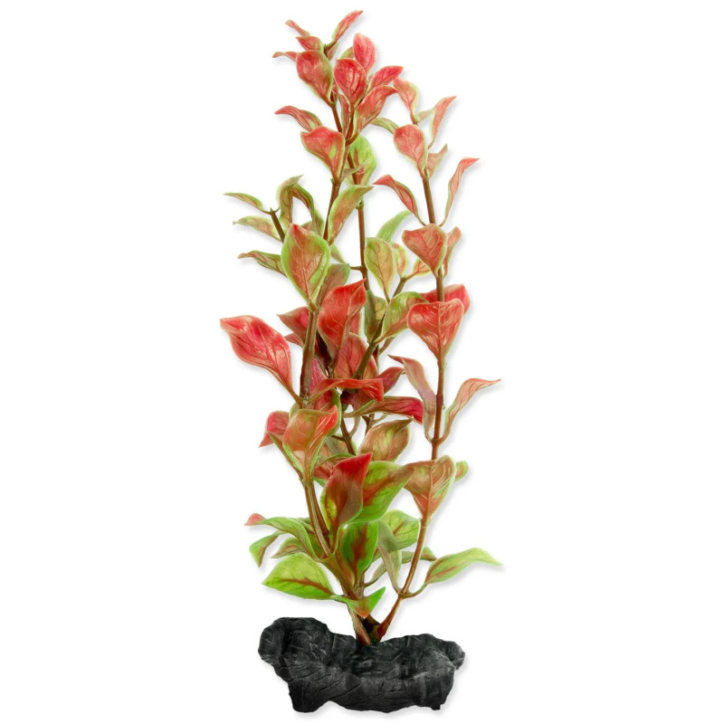 Dekorácia Tetra Rastlina Red Ludwigia S 15cm Dekorácia Tetra Rastlina Red Ludwigia S 15cm