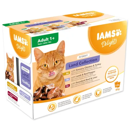 Kapsička IAMS Delights Adult suchozemské mäso v omáčke multipack 1020g (12x85gr)