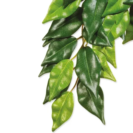 Dekorácia Exo Terra Rastlina textil Ficus stredná