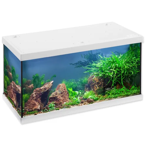 Akvarijný set Eheim Aquastar LED biely 60x33x33 54l