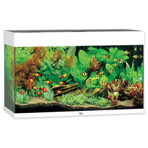 Akvarijný set Juwel Rio LED 125 biely 81x36x50cm 125l