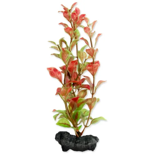 Dekorácia Tetra Rastlina Red Ludwigia S 15cm