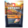 Ontario Adult Medium Fish & Brown Rice 0,1kg