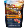 Ontario Puppy Medium Lamb & Brown Rice 0,1kg