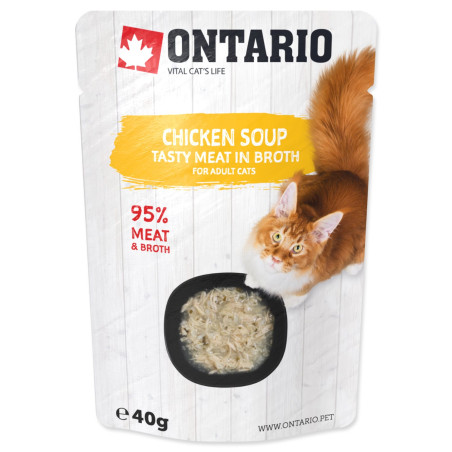 Polievka Ontario kura 40g
