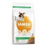 Krmivo IAMS Dog Adult Small & Medium Lamb 3kg