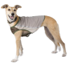 Vesta Scruffs Insect Shield Vest hnedá