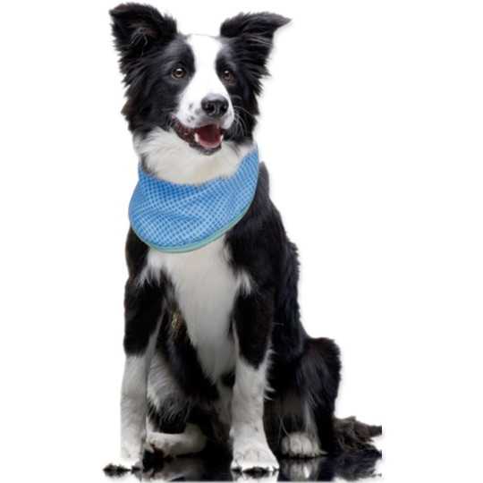 Šatka Dog Fantasy chladiaca M 28-40 cm