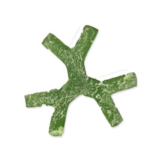 Dentosaurus tyčinka s chlorofylom S 10cm 160ks