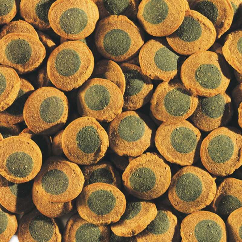 Krmivo Tetra Pleco Spirulina Wafers sáčok 15g