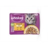 Mars WHISKAS kapsička cat Hydinový výber kuracie & kačacie & morčacie v želé 4 x 85 g