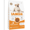 Krmivo IAMS Dog Adult Large Chicken 3kg