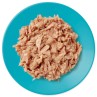 Konzerva Applaws Cat tuniak 70g