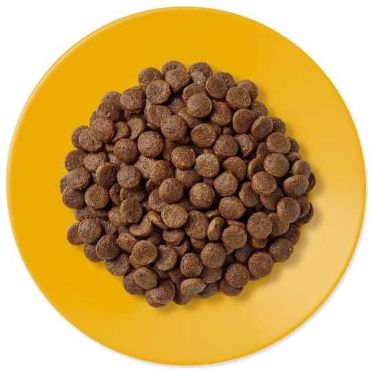 Krmivo Applaws Dry Cat Senior 2kg