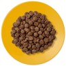 Krmivo Applaws Dry Cat Senior 2kg