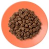 Krmivo Applaws Dry Cat Chicken & Salmon 2kg