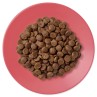 Krmivo Applaws Dry Cat Chicken with Duck 2kg