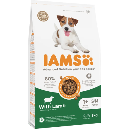 Krmivo IAMS Dog Adult Small & Medium Lamb 3kg