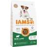 Krmivo IAMS Dog Adult Small & Medium Lamb 3kg