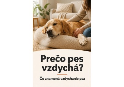 Prečo pes vzdychá? Čo znamená vzdychanie psa? | AZPET