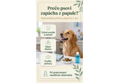 Prečo psovi zapácha z papule? Príčiny a riešenia | AZPET