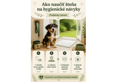 Ako naučiť šteňa na hygienické návyky? Praktický návod | AZPET